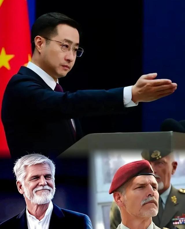 为什么中国没有制裁捷克总统帕维尔，而是宣布永不接触？

帕维尔就任总统后，202