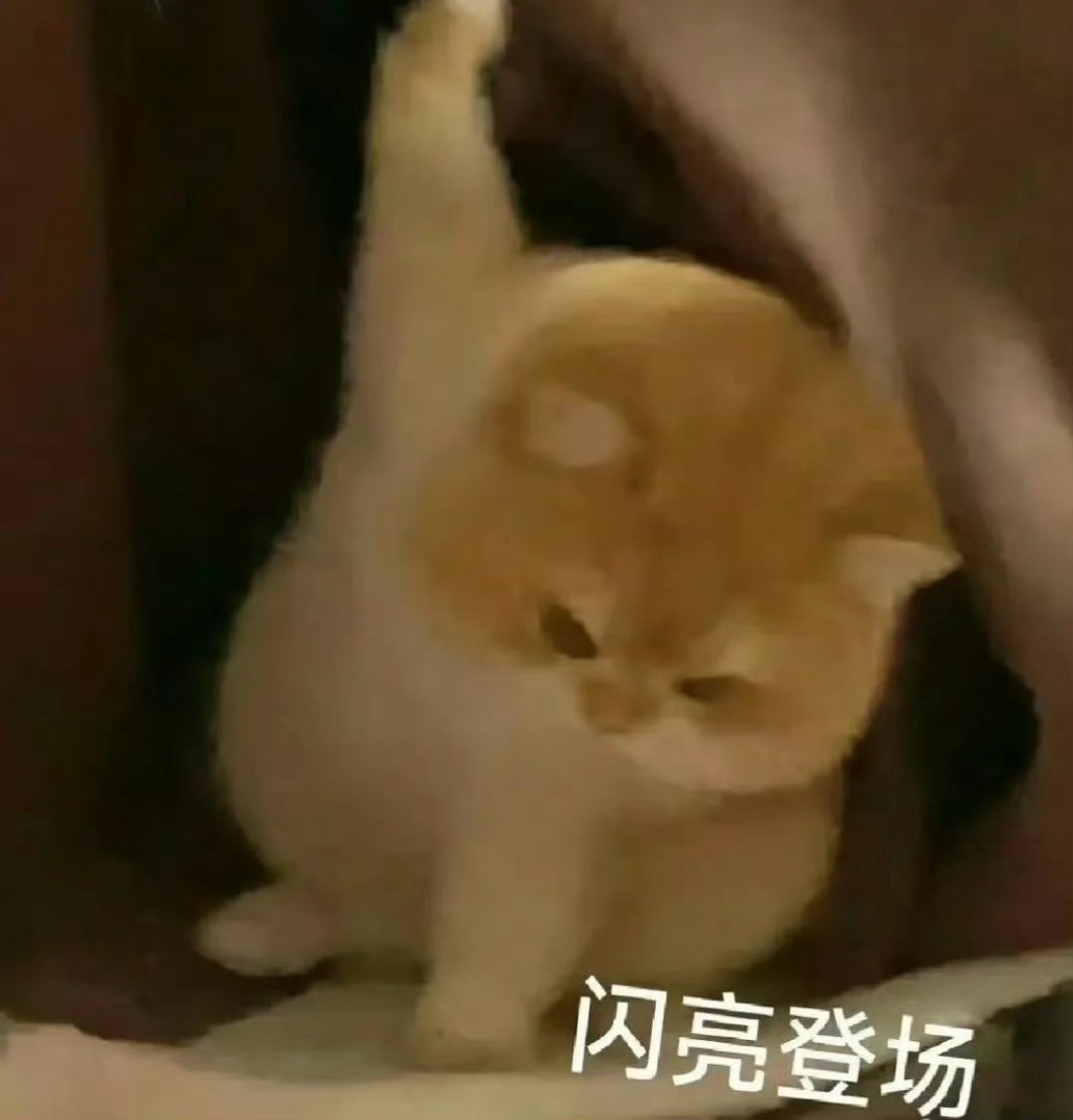 看看ip！ 杭州·杭州萧山国际机场