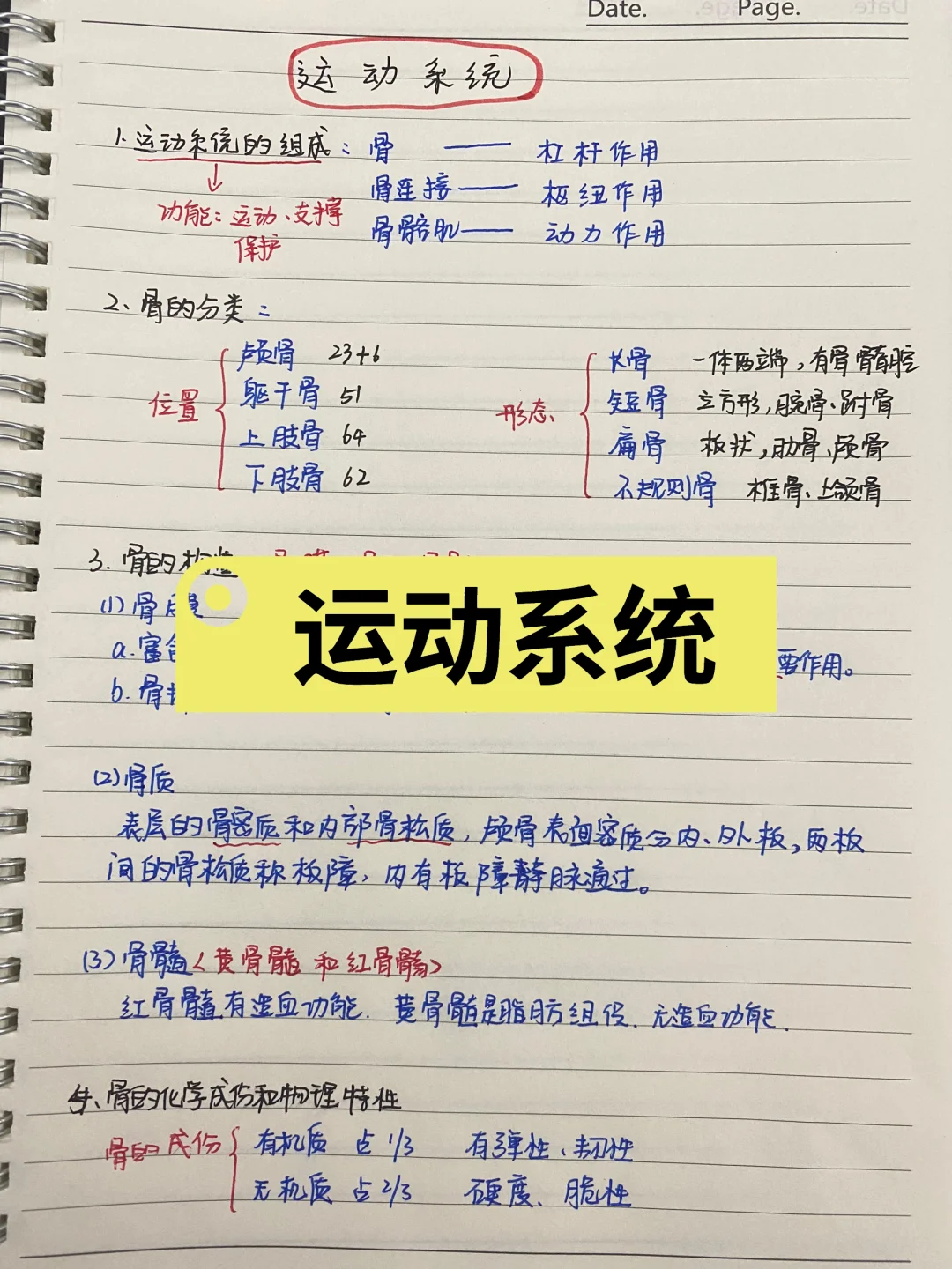 运动系统小结