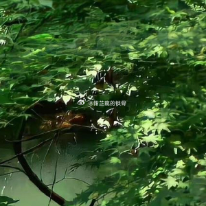 清晨的雾还没散，槐树沟就飘起了混着柴火和米汤的香气。王秀莲把最后一把柴塞进灶膛，
