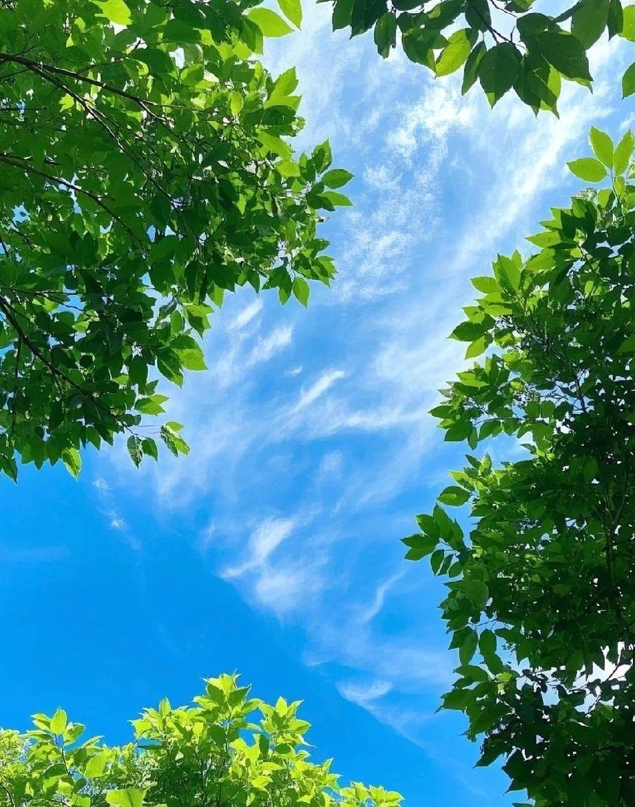 最近看了各地方的天灾，我发现我变了，变得越来越抠门了。

以前我会一个月出去餐馆