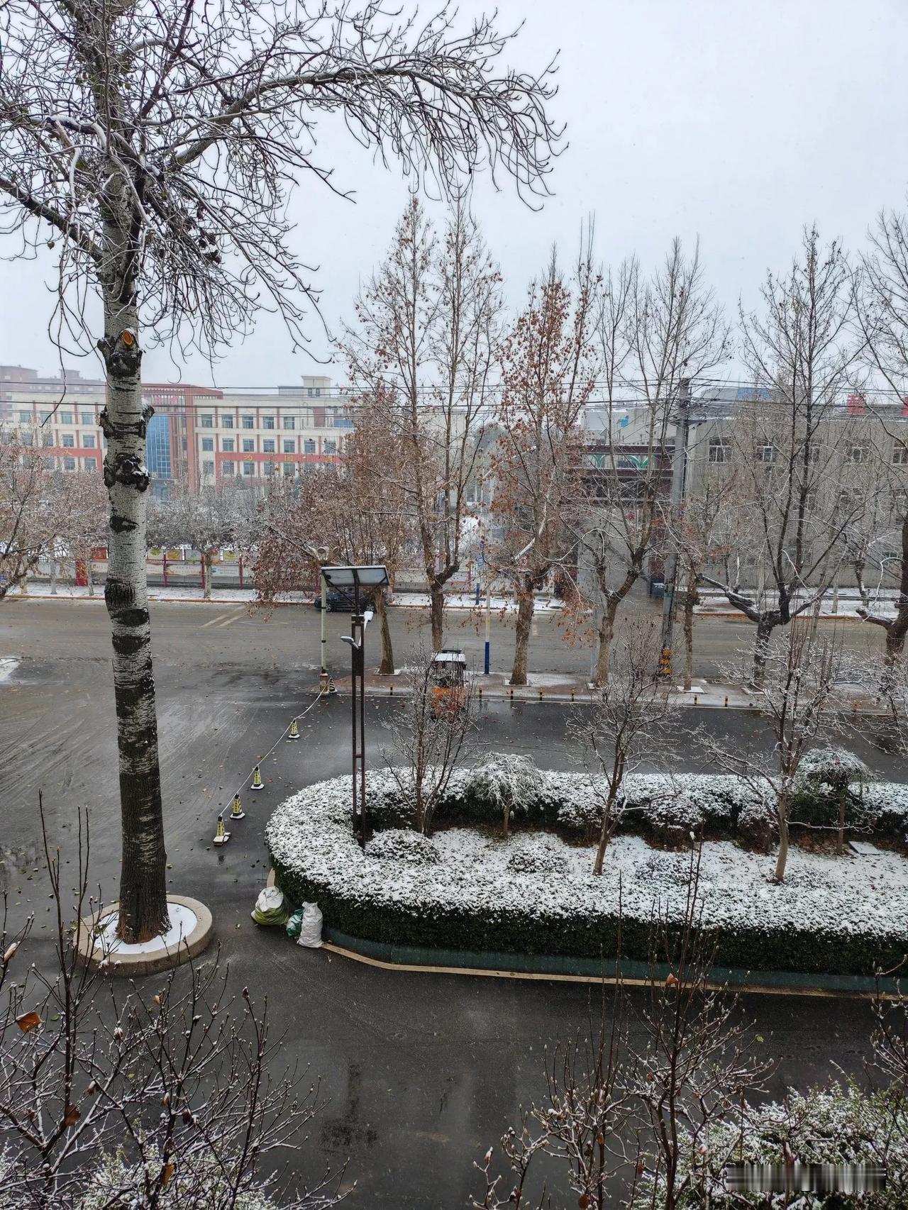2024年12月13日，山东济南，2024年冬天的第一场雪，也是唯一一场雪，比往
