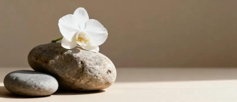 人活一辈子，金钱和健康哪个重要？这问题就像先有鸡还是先有蛋一样难选。
我有个朋友