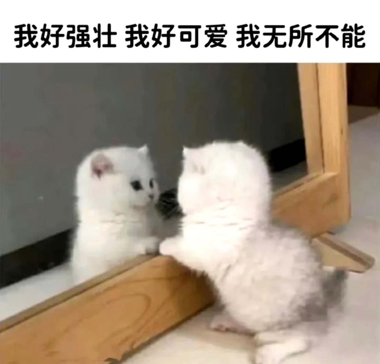 23岁女生身高1米7体重仅88斤不要盲目跟风呀自己的身体健康最重要‼️ 