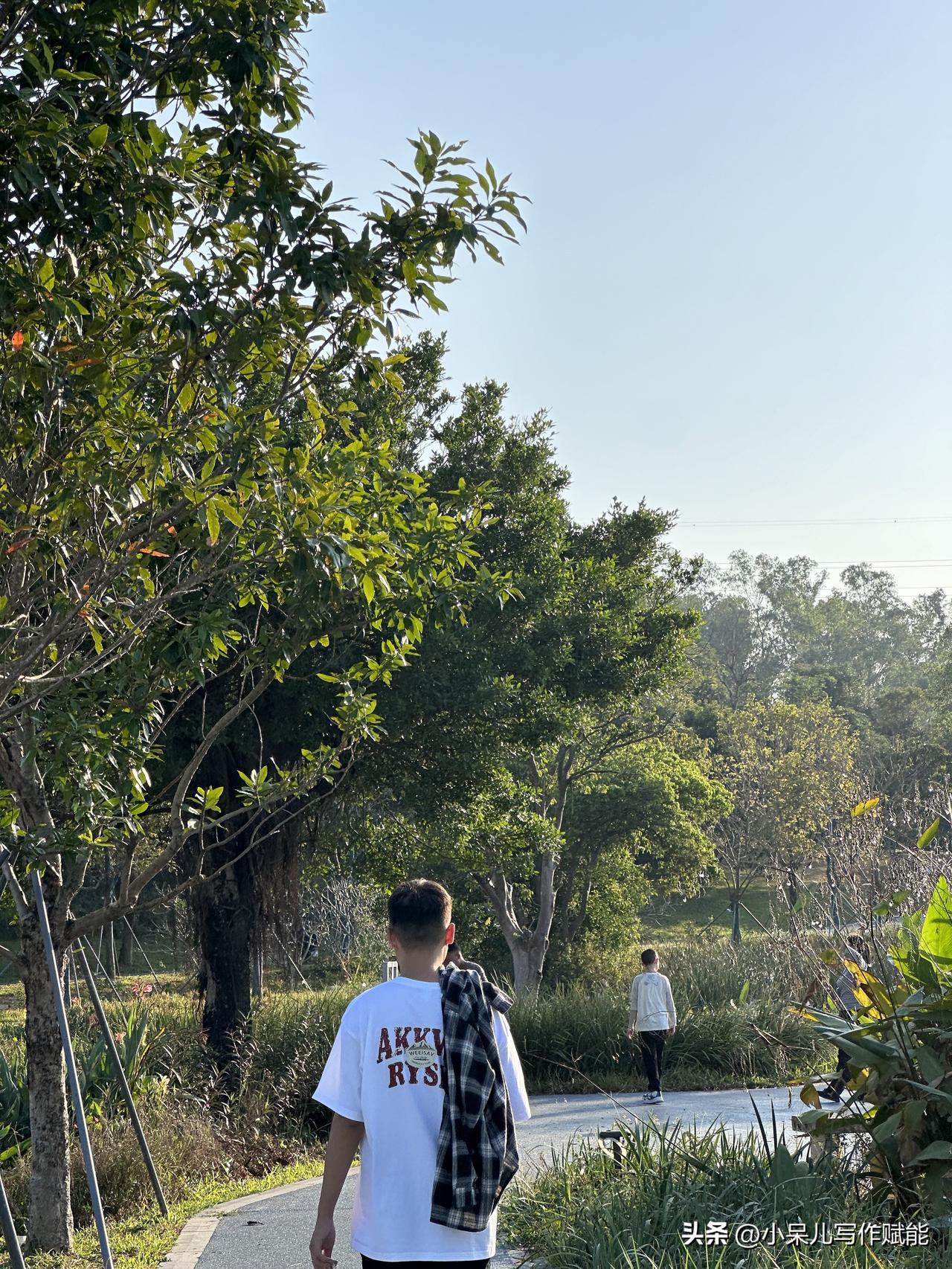 走着走着才明白，人生最舒服的状态，不是追着光跑，而是像这样慢慢散步，把脚步放慢，