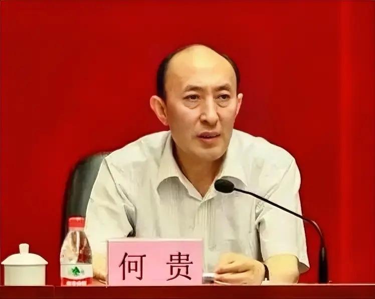 69岁，退休整整11年，何贵大概以为，江北区那段日子早就翻篇了。

公开履历显示
