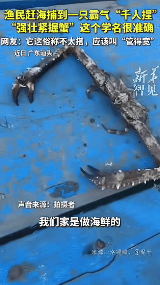 “彻底解释不清了！”广东潮汕，一女子跟渔民买鱼，突然她发现渔网里有一个会动的“夹