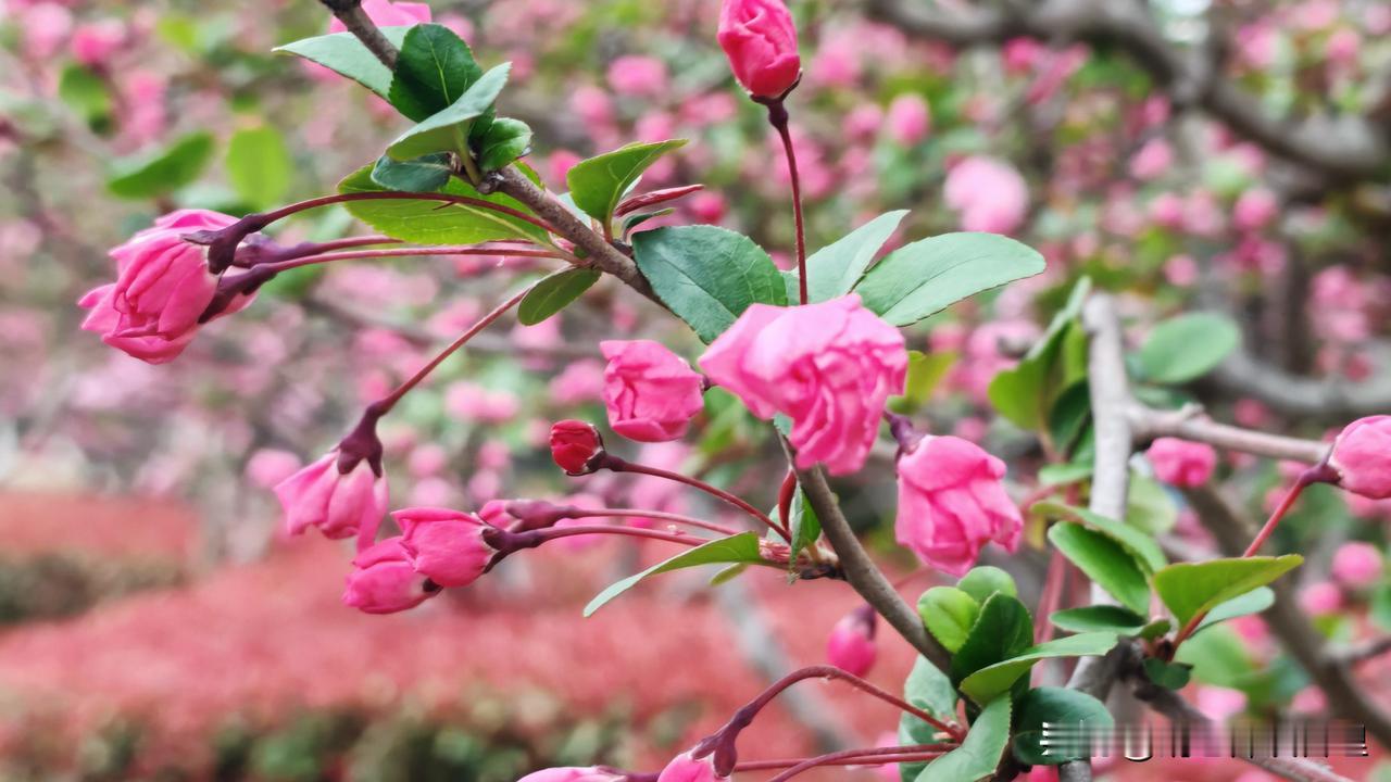 vs 上月”，容易忽略趋势和问题本质。可以从三个维度对比：
 
1. 纵向对比：