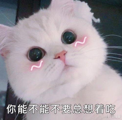 外国友人街头投喂成都骑手包容又暖心的成都！普通人的见义勇为被外籍朋友看见并善待，
