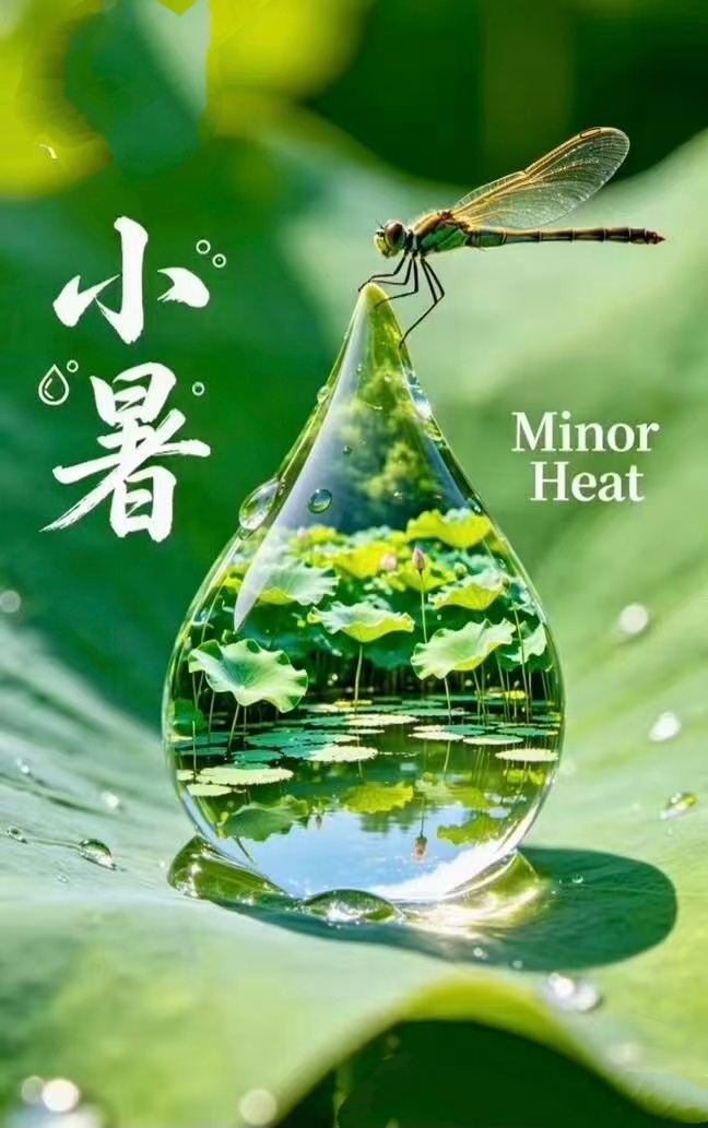 【在小暑寻找小暑】                  作者：凸   凹又临小暑。