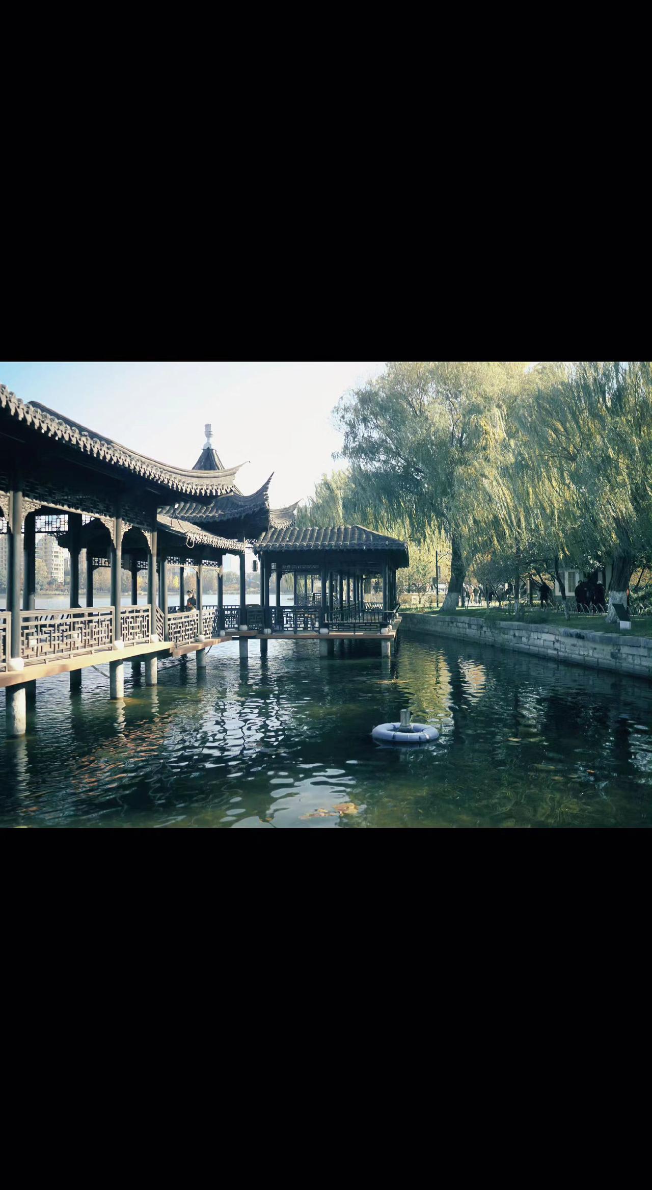 🏮廊檐吻着水面，柳叶把阳光剪成碎金✨。木柱站成时光的刻度，涟漪里藏着千年的呼吸