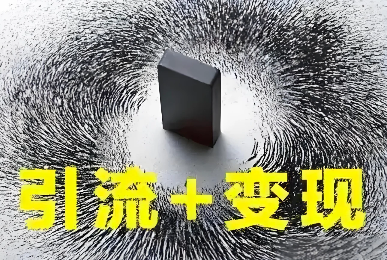 一个企业不能只靠顺应网民情绪的流量活着