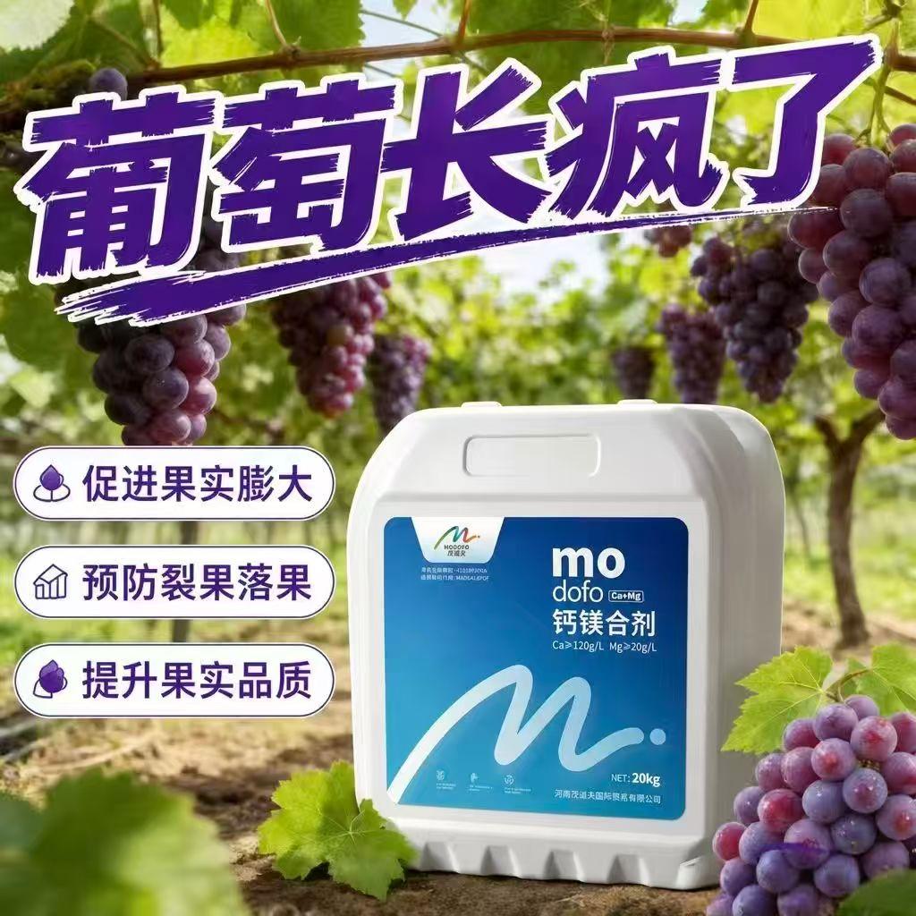 三农 蔬菜种植 柑橘种植 葡萄种植 茂道夫