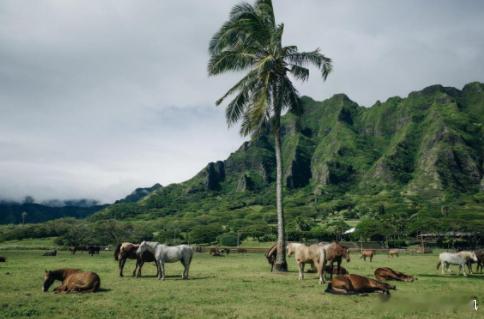 【财富晚茶】三元股市收评：沪指涨0.41%：养殖强势上扬体育探底导语：作者系《网