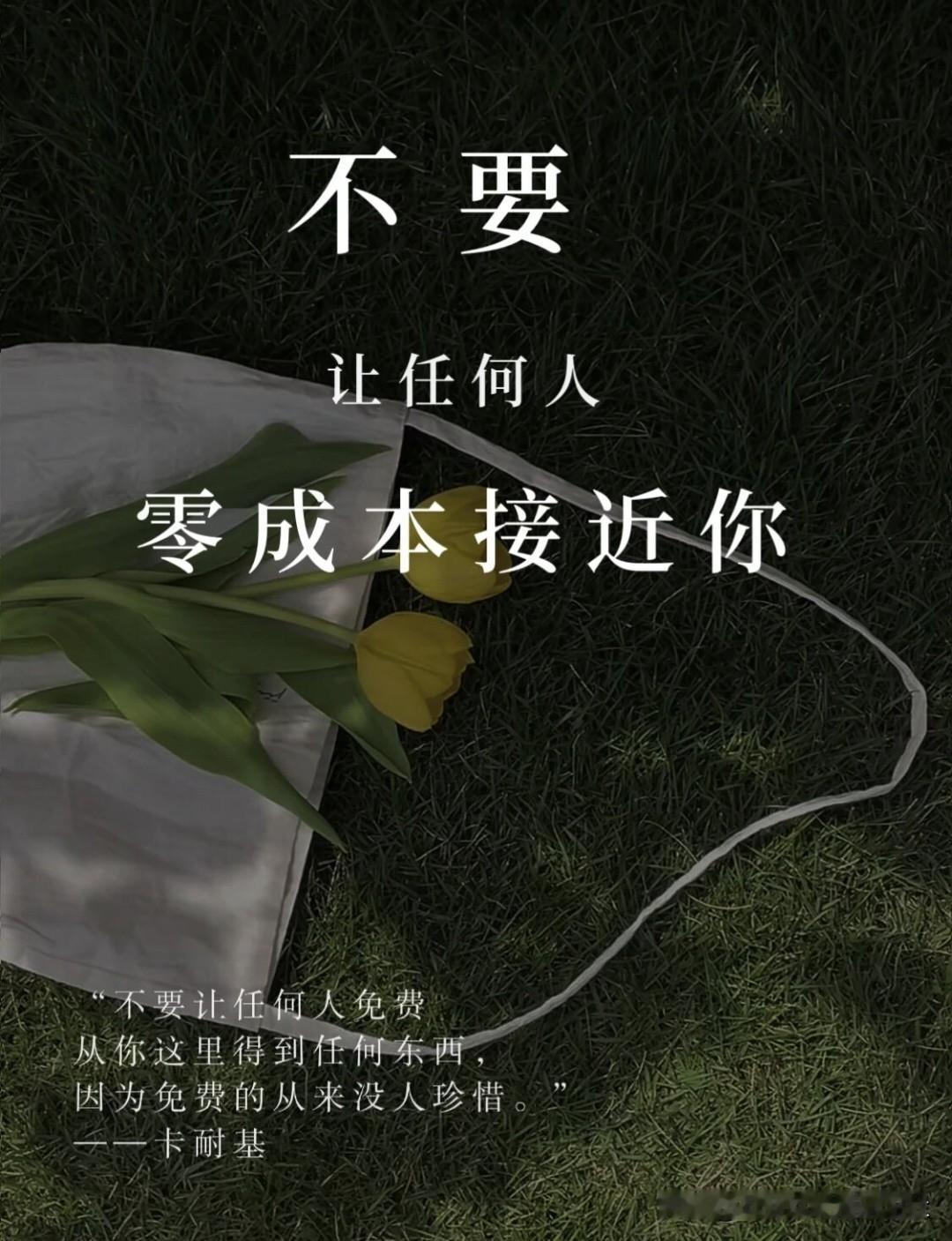 走过半生才懂的道理【你很贵，别浪费】你的时间、精力、智慧，都很宝贵，别轻易让人白