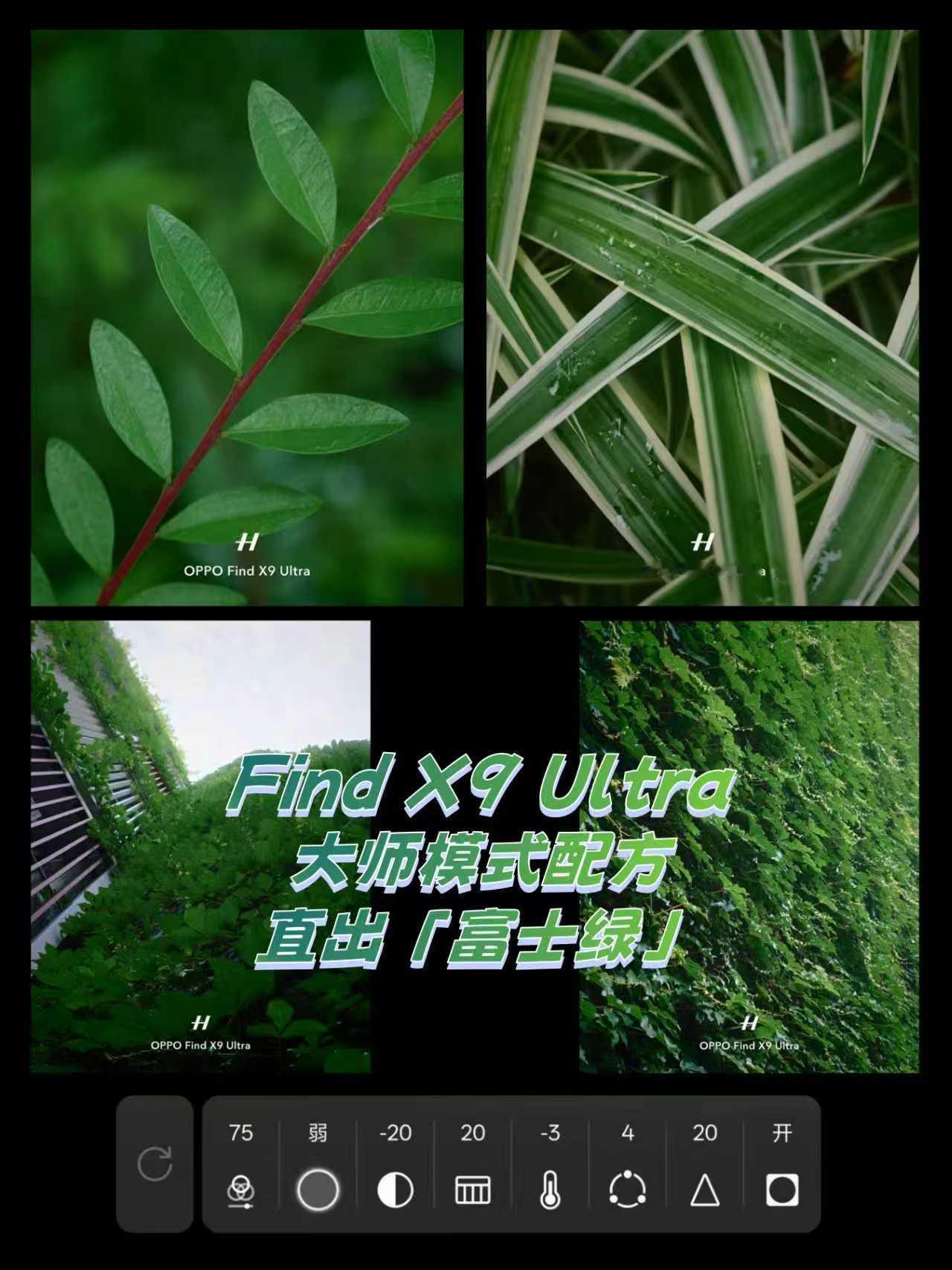 大师模式都给我去用，手机直出「富士绿」
五一假期拍的照片分享到圈⭕️被问最多的就