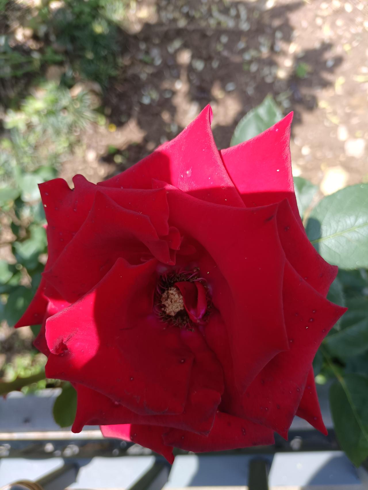 为家，只求一个字，你求哪个字