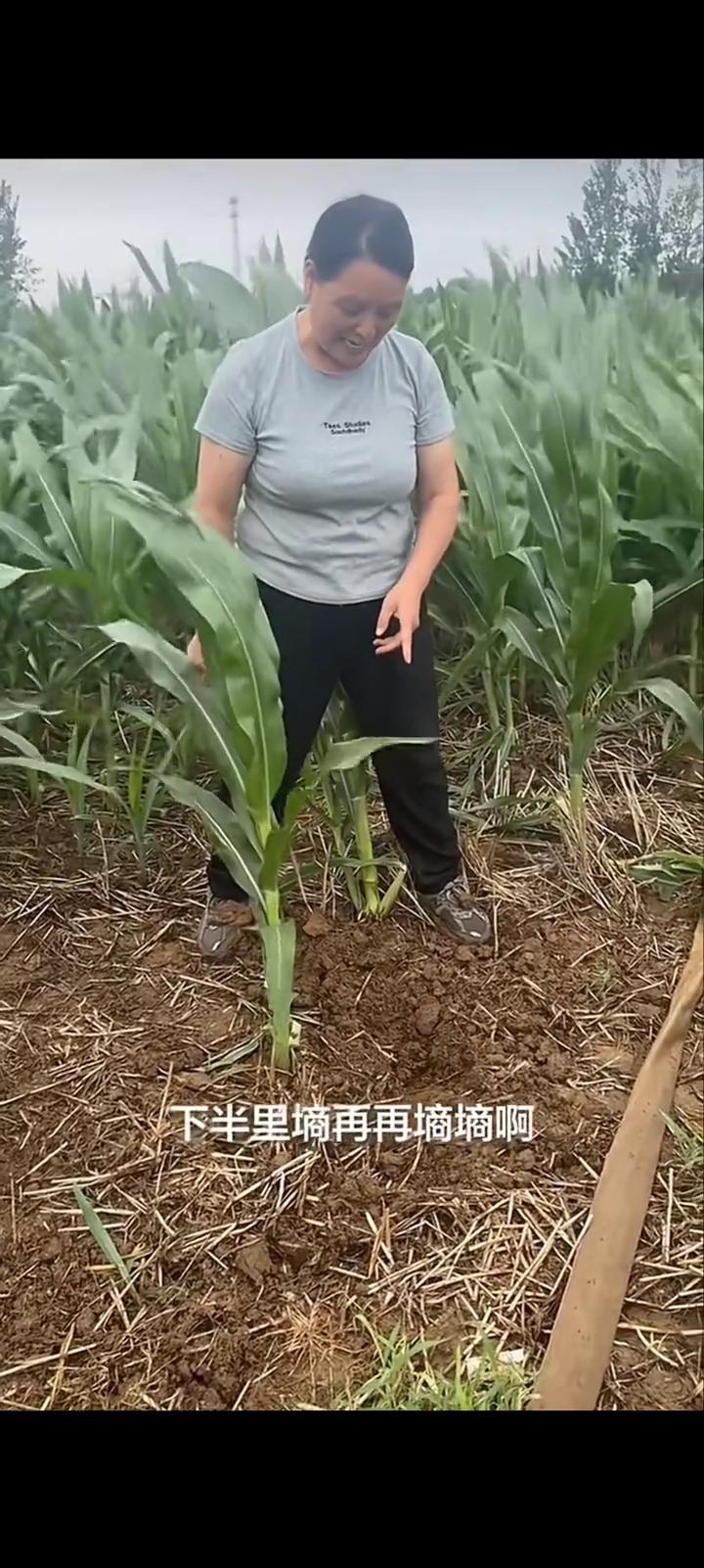 家人们，我跟你说说报个喜。前边俺这下金豆子的，你都不知道那一个桌的老的少的高兴成
