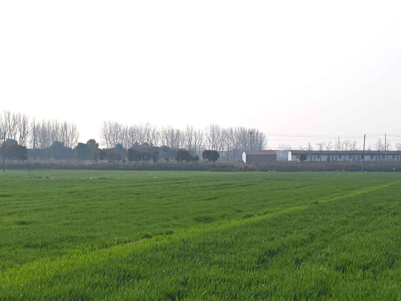 职称评审的常见误区有哪些？下面给你整理一份职称评审最常见、最容易踩坑的误区，都是