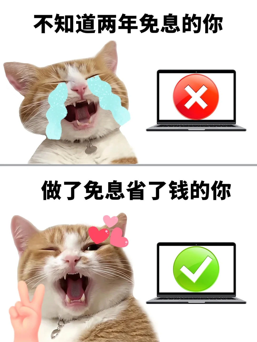 免息省钱‖方案全公开！