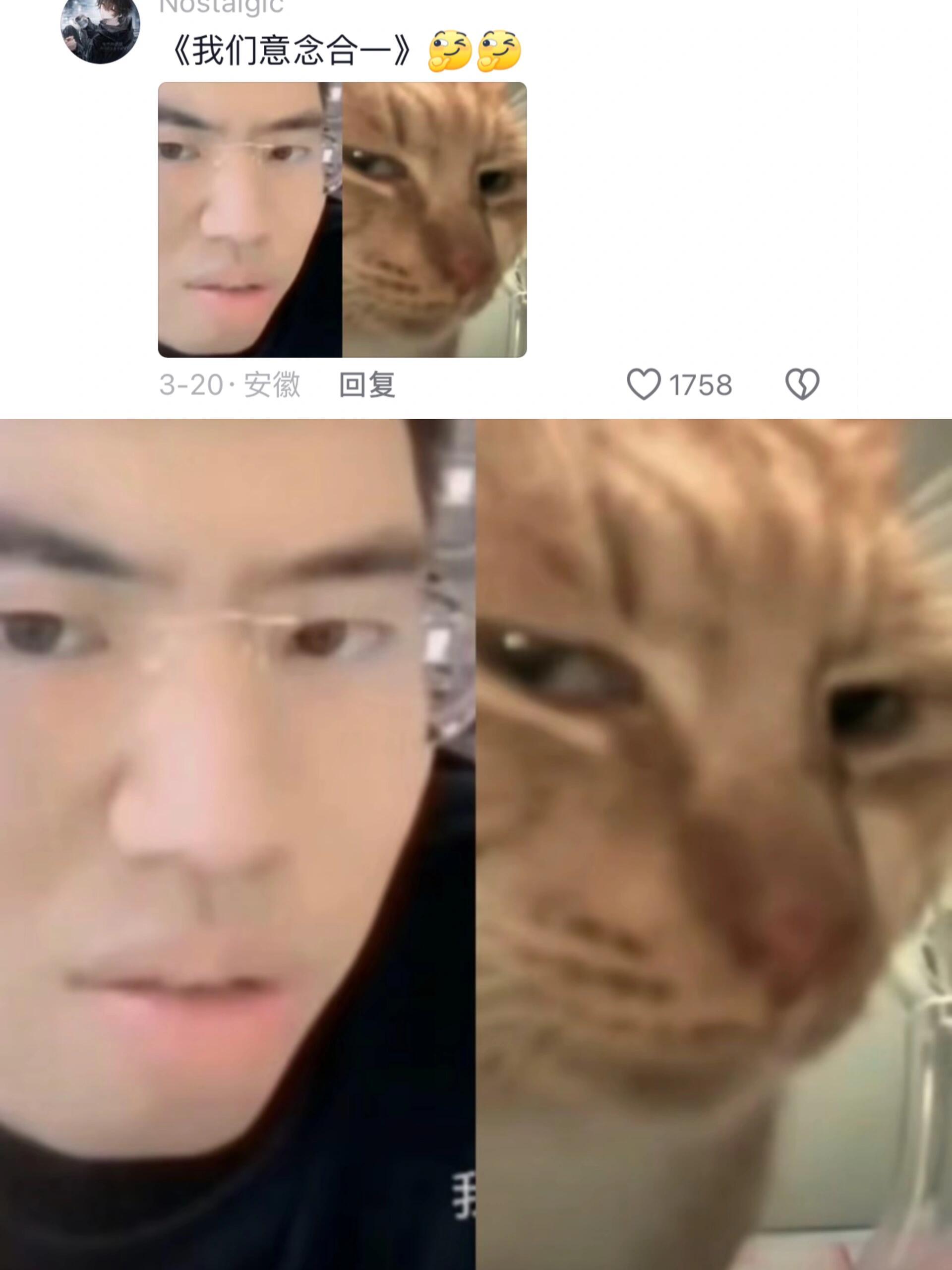 听说猫咪会越长越像主人？每次在朋友圈分享猫咪的照片🤳🏻，总有人评论：你的猫和
