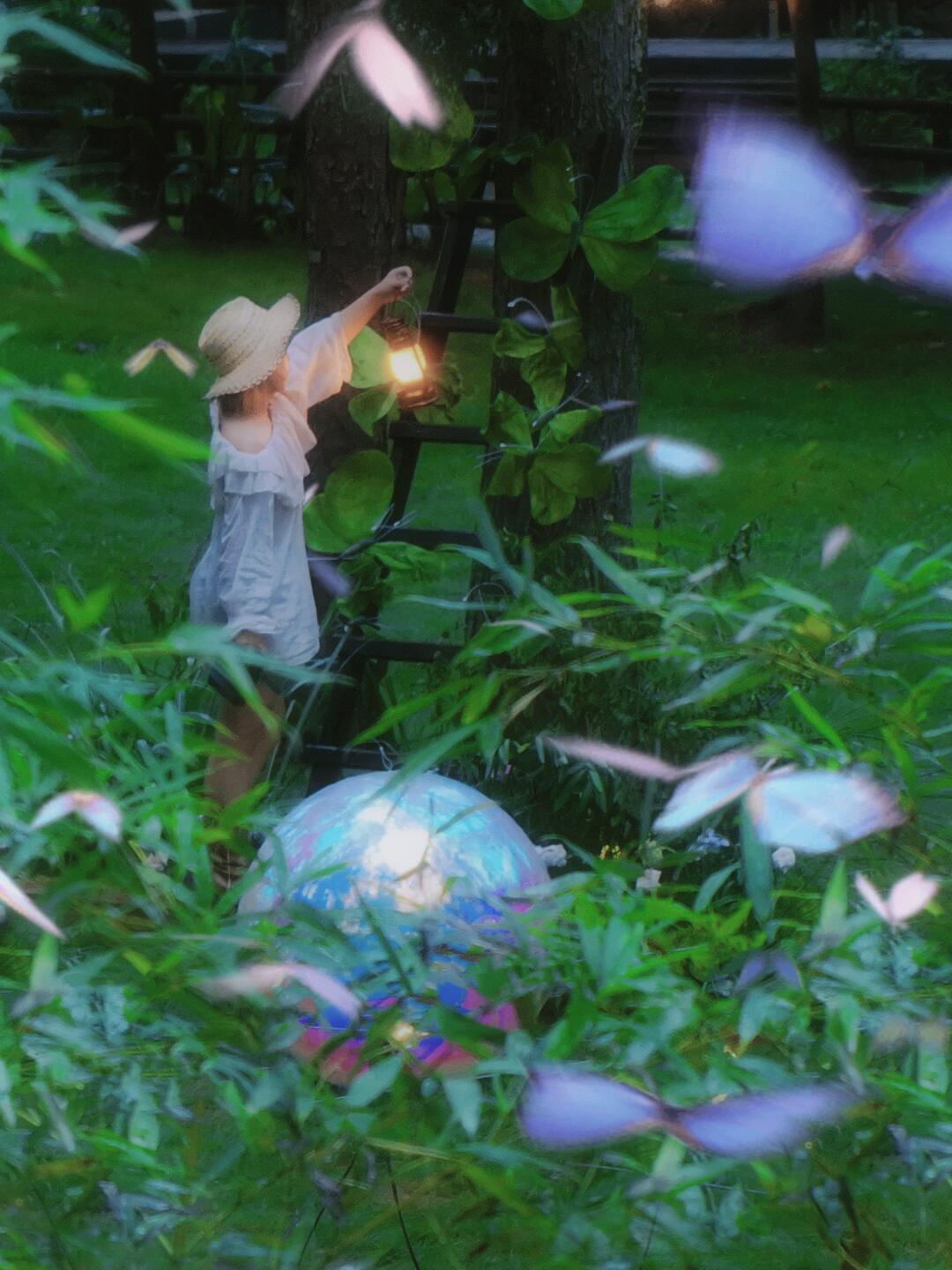 在温州｜仲夏之夜赴一场森林之约