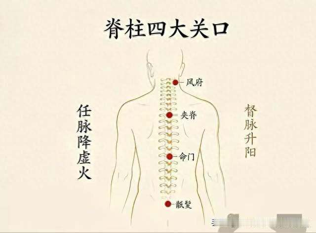 上半身冒火下半身结冰？脊柱4处逐节松开，练完脚底是热的