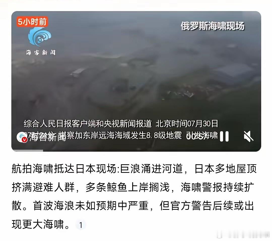 我的天！日本海啸看得人鸡皮疙瘩都起来了！巨浪跟疯了似的往河道里灌，屋顶上密密麻麻