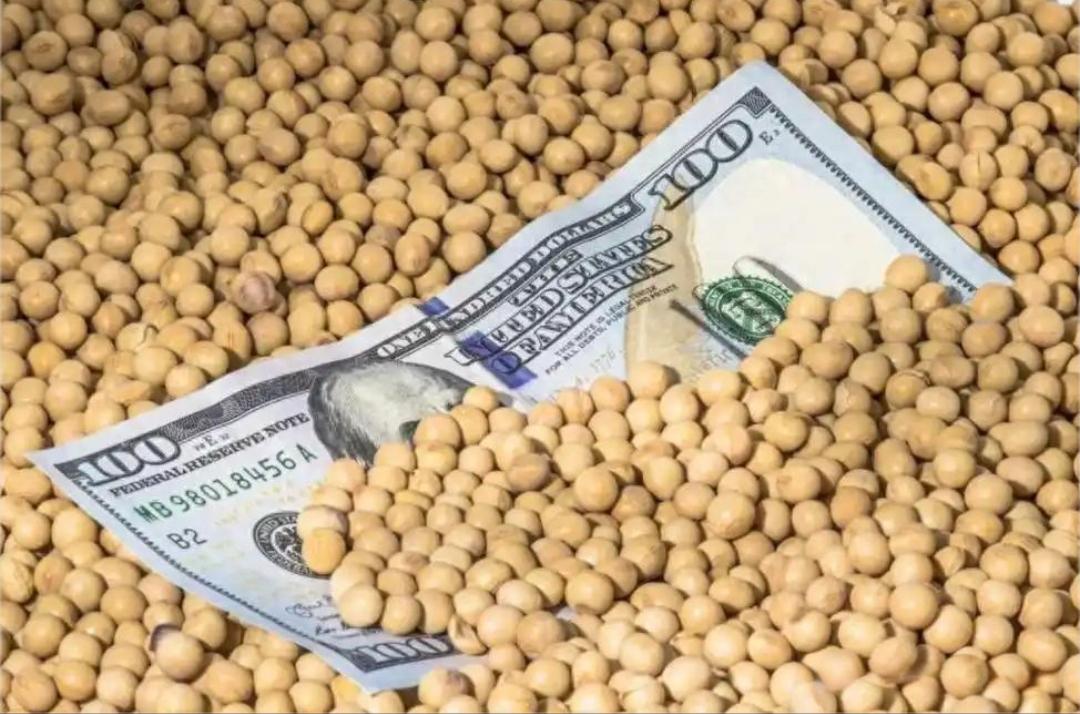 “以豆代资，两难自解”！美国现在不是政府关门发不出工资嘛，大豆不是卖不出去嘛，政