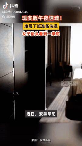 安徽阜阳，一女子收摊以后回家洗澡，她把浴室灯一打开，结果她抬头一看竟然有一条蛇盘