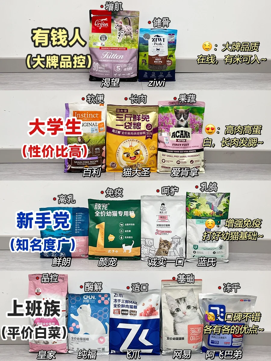 新手养猫建议：幼猫猫粮推荐不要乱花钱！