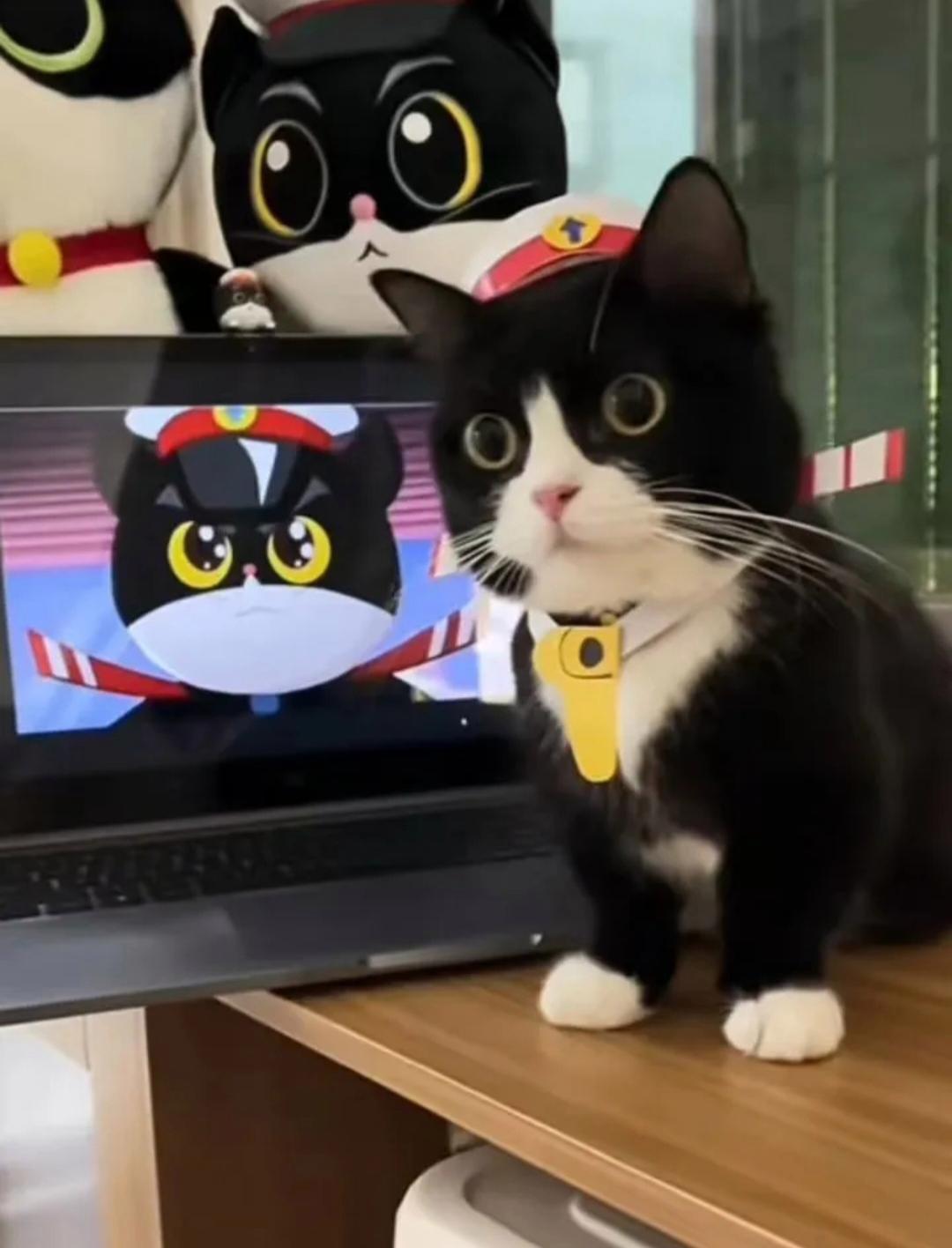 【真让他养到黑猫警长了】
真实版的黑猫警长，主要是玩cosplay滴。
不知道黑