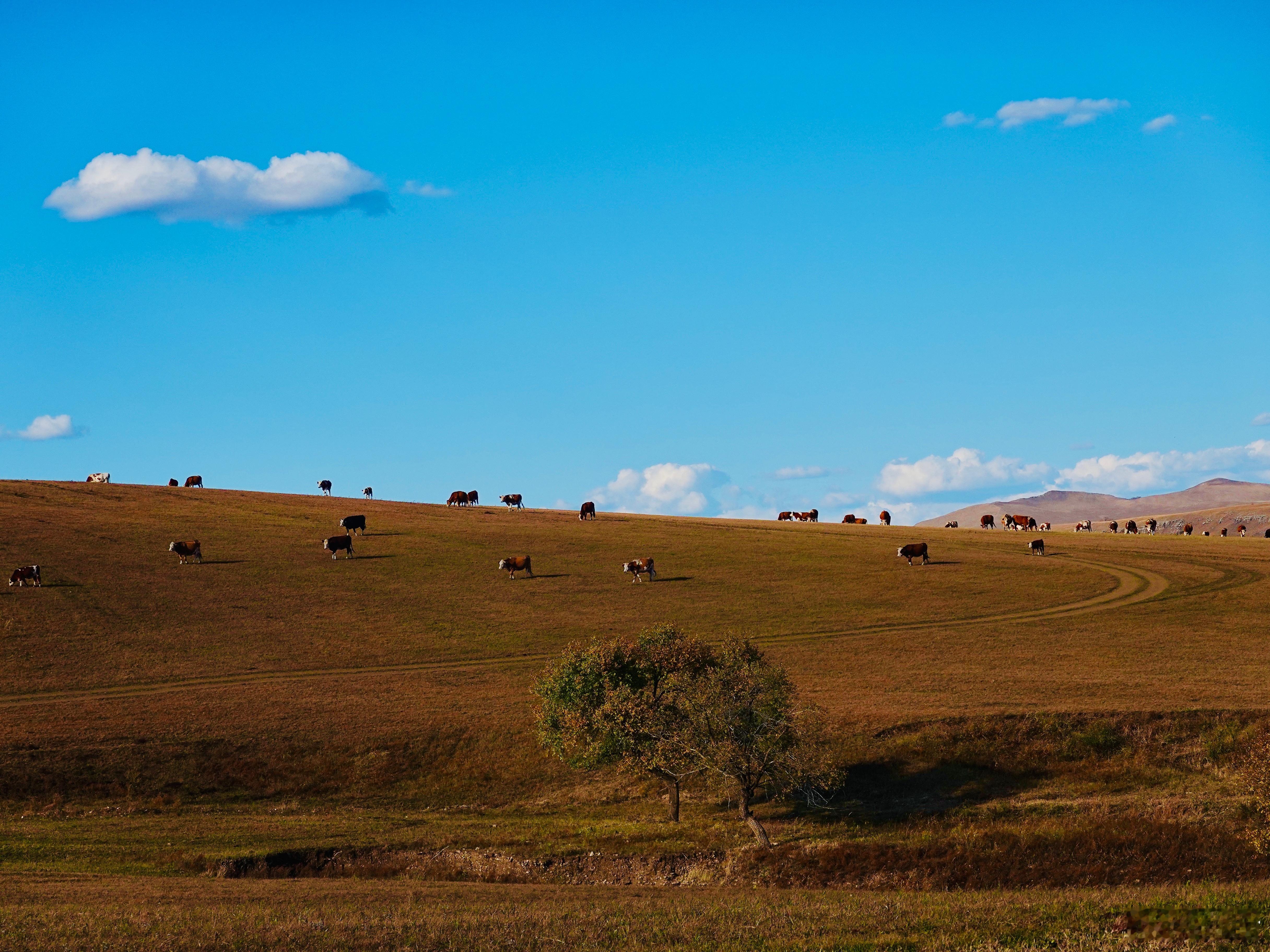 这几天往返医院忙碌的跑着…看到形形色色的病人…只能说能平安变老，已经是不容易的事