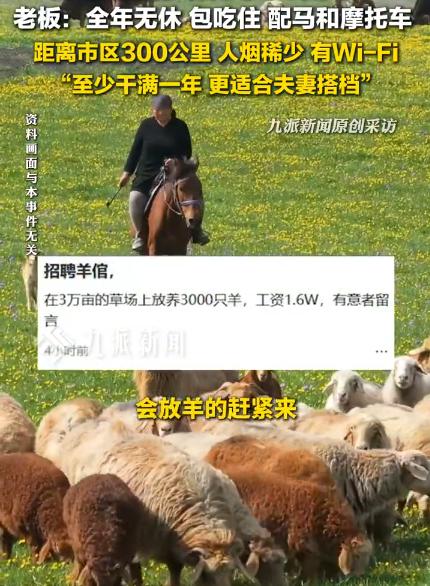 此外，夏季可住蒙古包，有水有电，草原风景宜人，工作轻松。只是冬天比较难熬，长达半