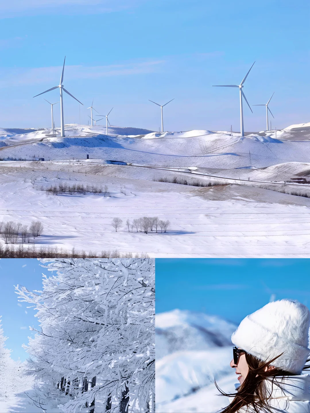 去雪地，去风里，去自由的地方❄️