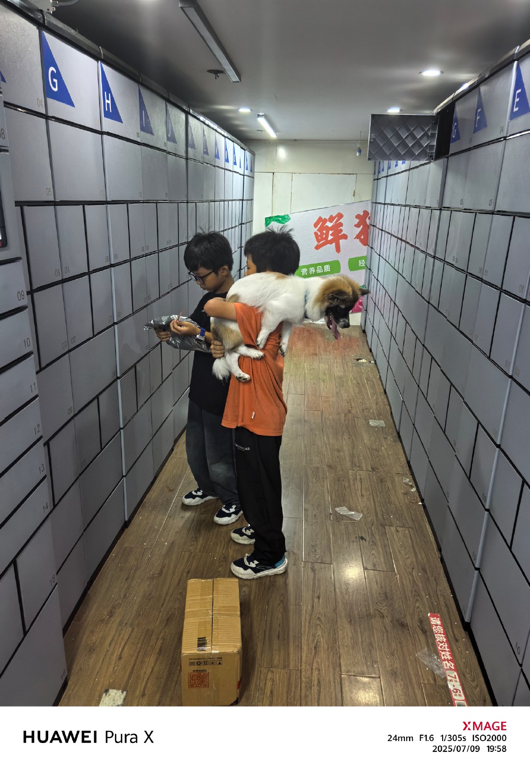小孩哥 和 他们的好朋狗[嘻嘻] ​​​
