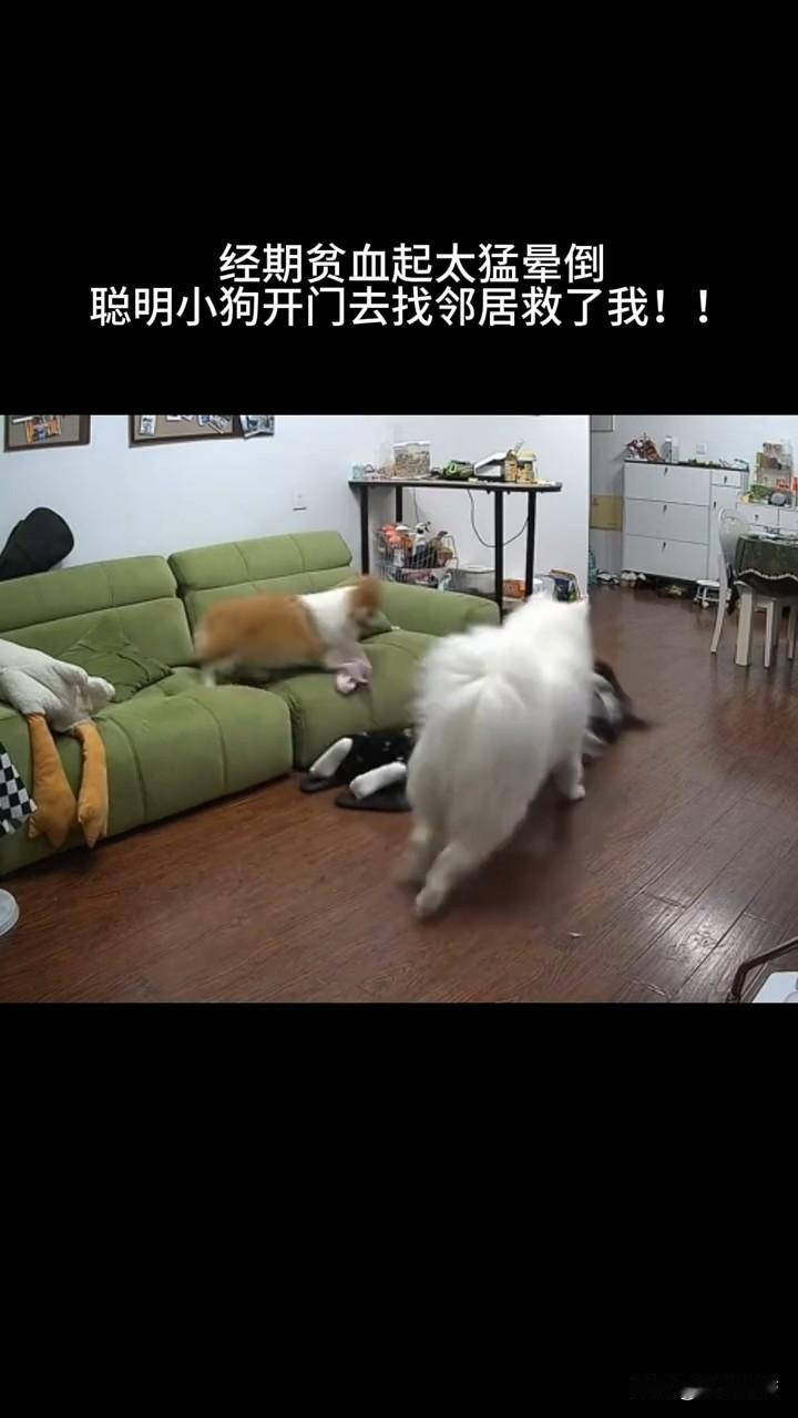 哎呀妈呀你瞅瞅这事多揪心又多暖心！女子起身太急经期贫血，当场眼前一黑晕倒在地。家