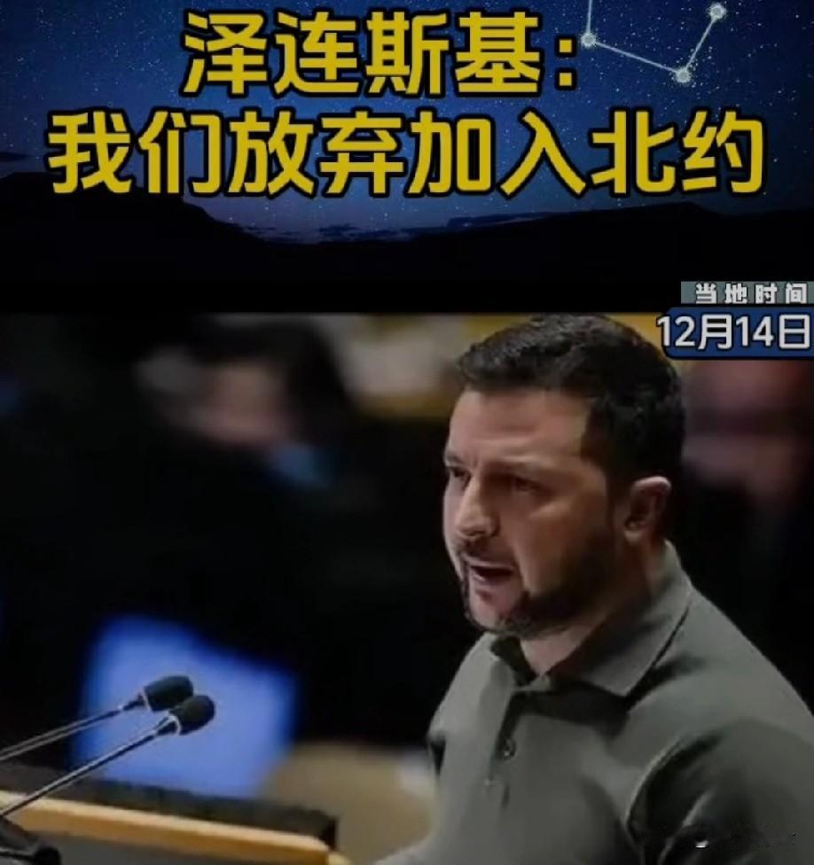 没想到俄乌冲突的关键症结，兜兜转转还是回到了起点！泽连斯基放弃乌克兰入约目标，刚