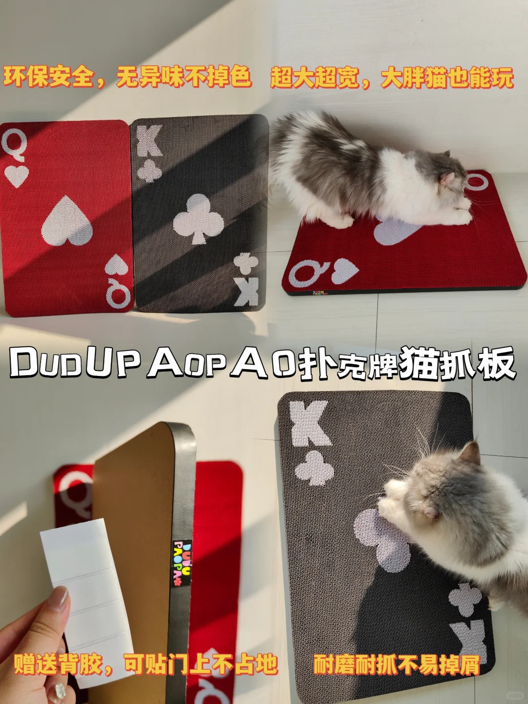 😻八月养猫の好物分享