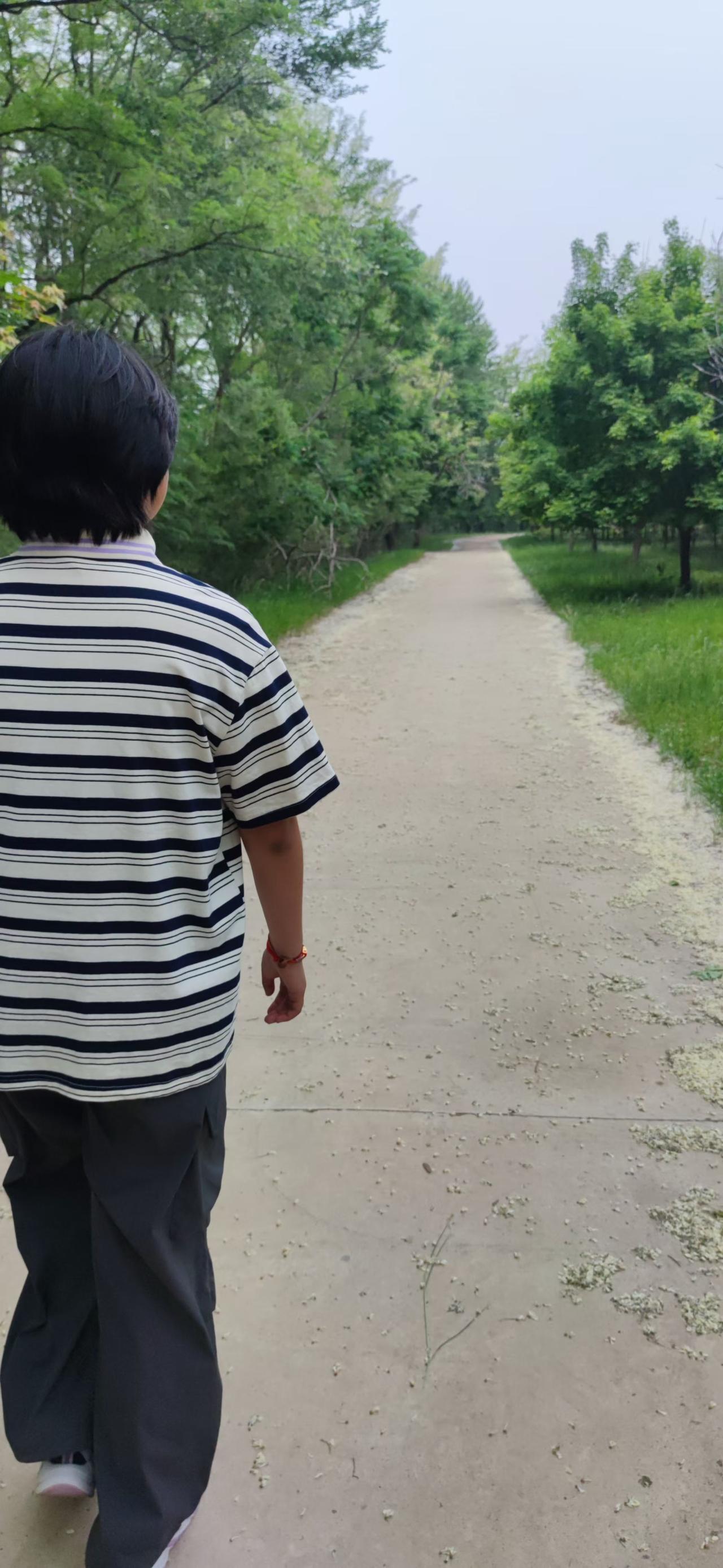 漫步在绿意盎然的小路上，感受大自然的宁静与美好。🍃🍃🍃