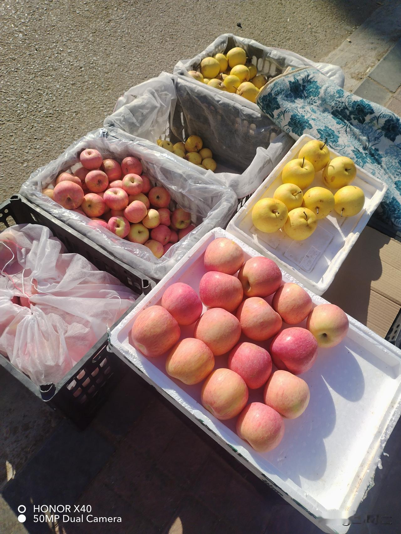 今天是2026年第一天，一大早我就被老公喊了起来，七点多钟就去了市场，老公说去晚