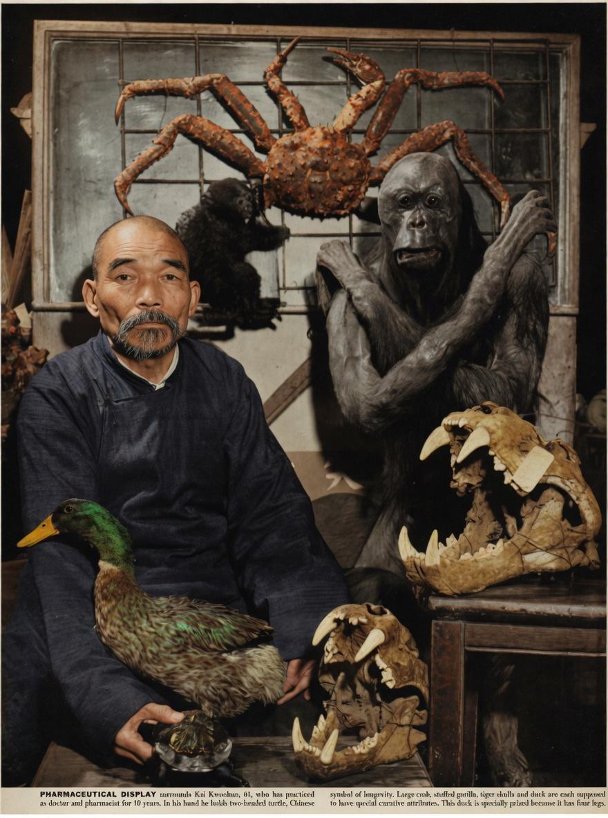 1940年，照片中的这位老者是61岁的寇绍，已经踏进行医配药的行当，整整四十个春