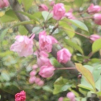 三十岁之后才明白一个道理：把日子过得简单点，真的能省掉很多烦恼。以前总想着攒人脉