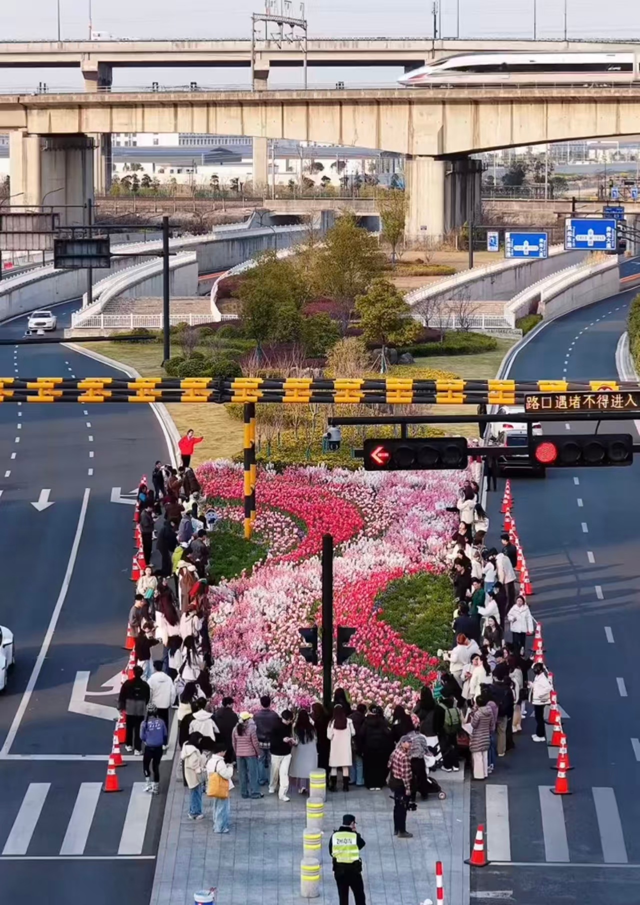 杭州的绿化带也太会了吧，随手一拍都是大片，妥妥的网红打卡地。到处都是拍照的人，氛