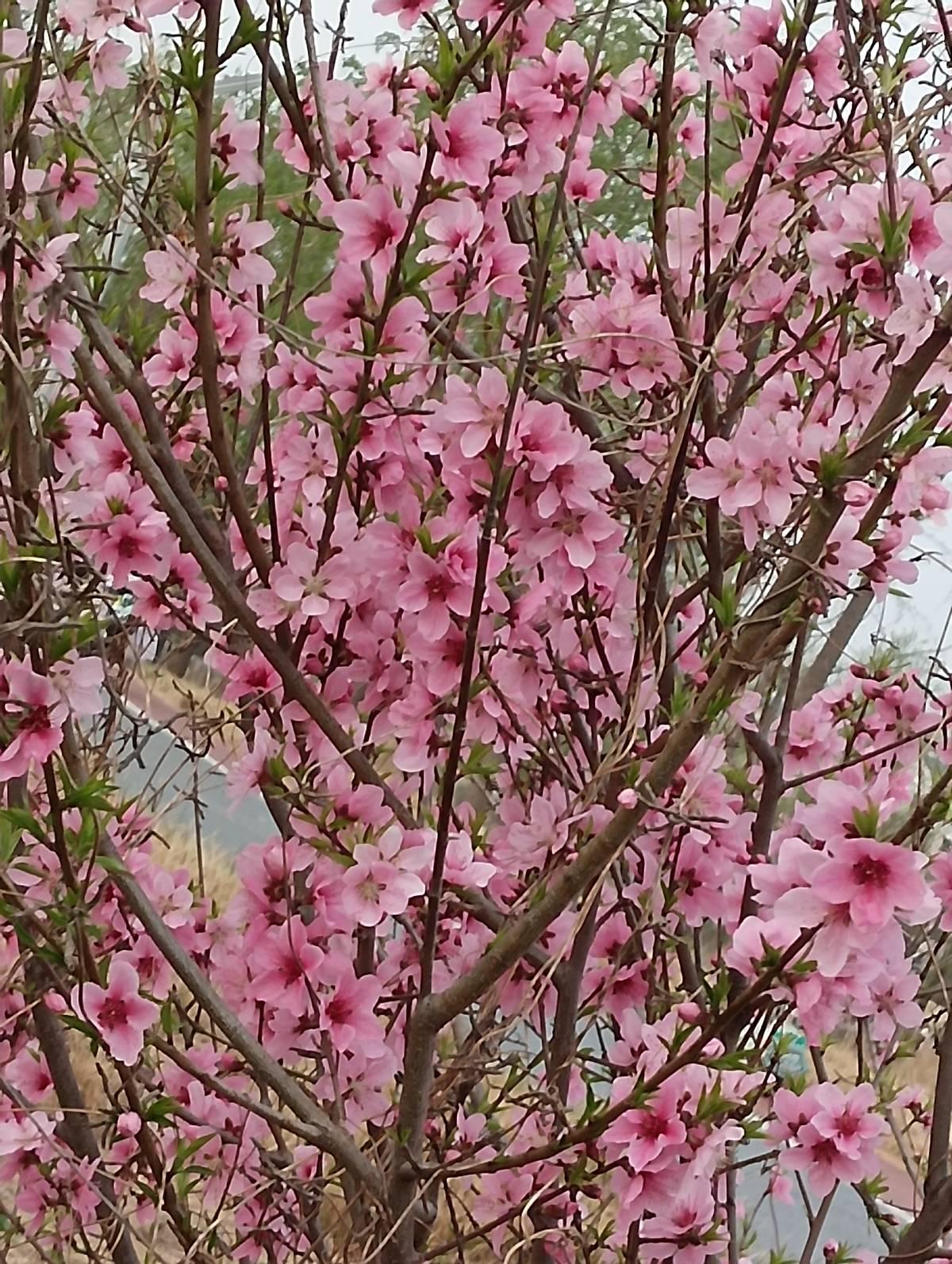 当同事还在加班，那位档案年龄被改大的老同事，已经领上了退休金。
你吭哧吭哧干到五