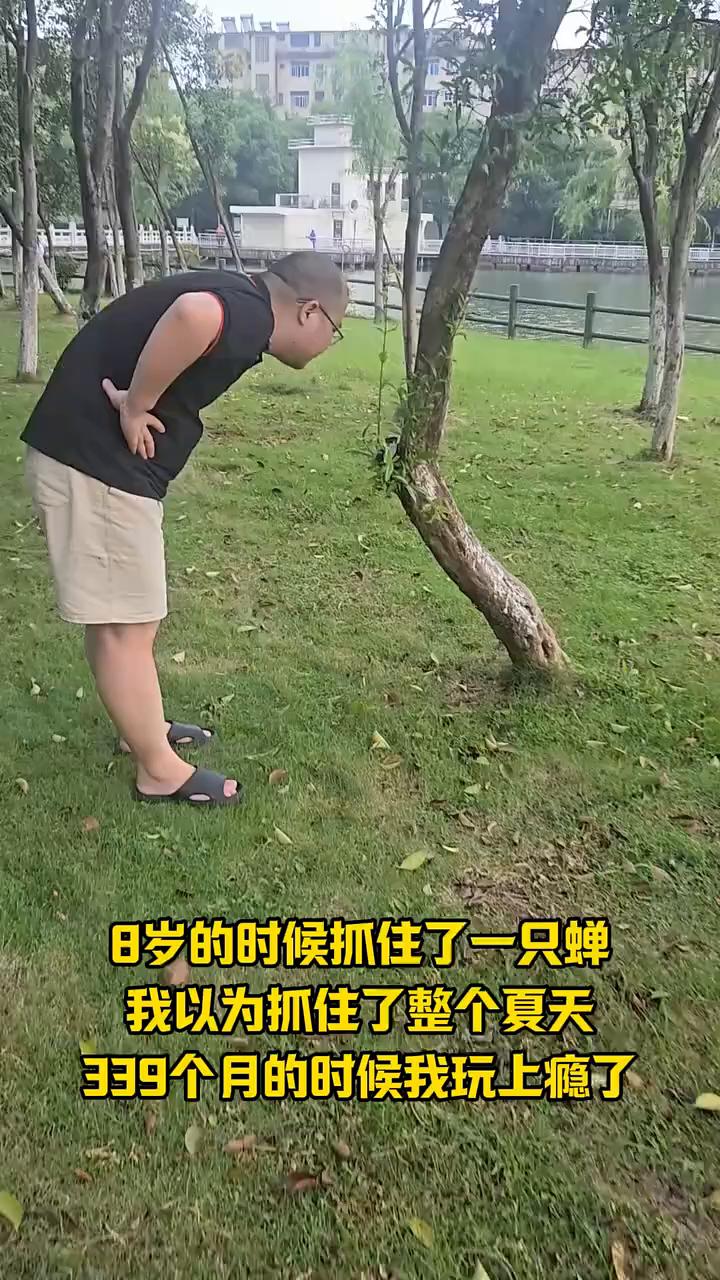 8岁的时候抓住了一只蝉，我以为抓住了整个夏天。3、4个月的时候我玩上瘾了。