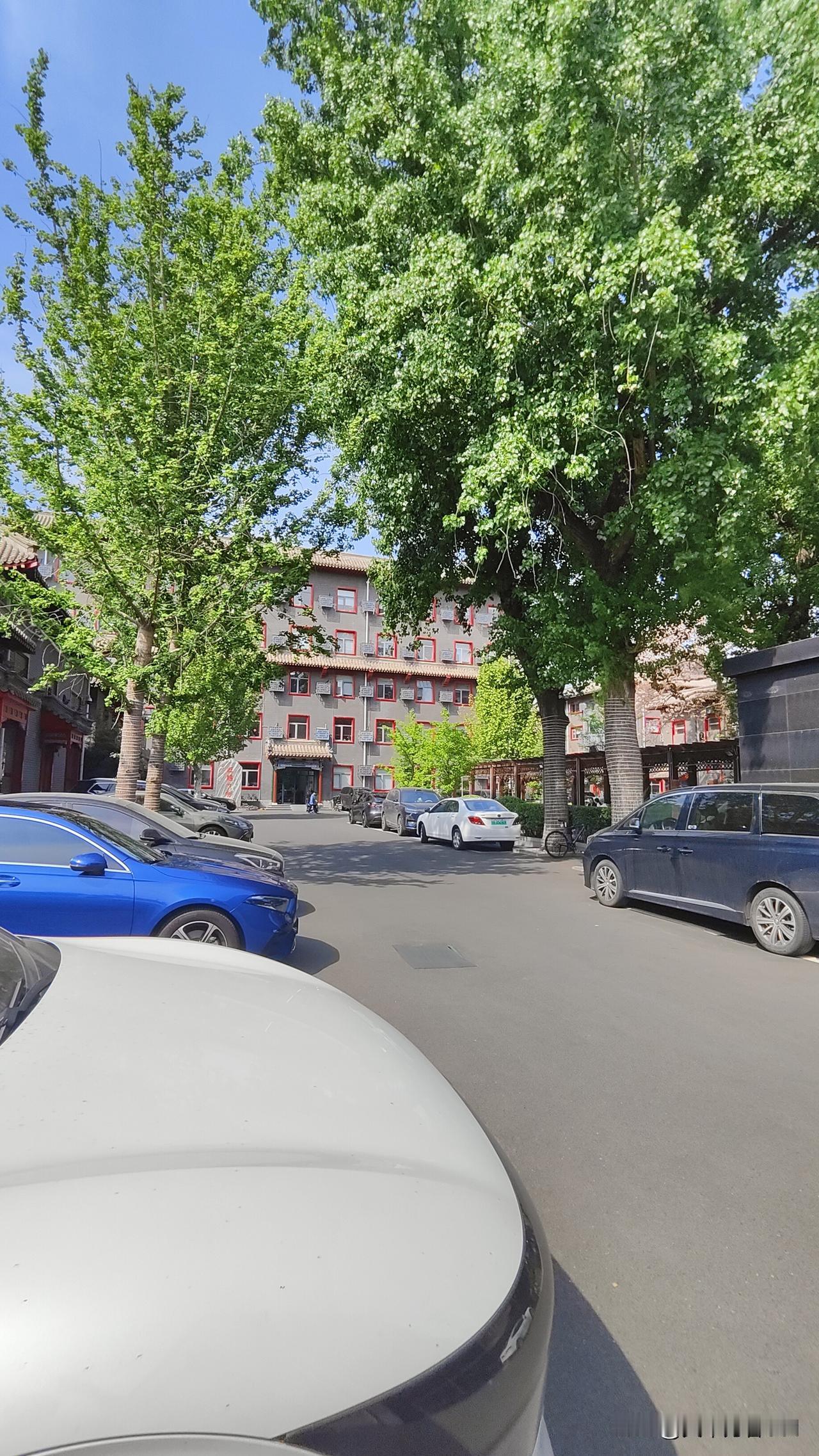 相册里最满意的照片