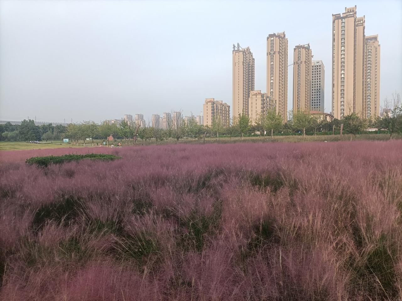 这位烈女到底是怎么想的？


明朝末年，河南一带大旱，庄稼颗粒无收。农民卖儿卖女