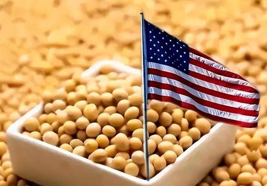 太搞笑了！美国大豆终于找到了盼望已久的买家，中国禁止买入美国的大豆之后，他们把大