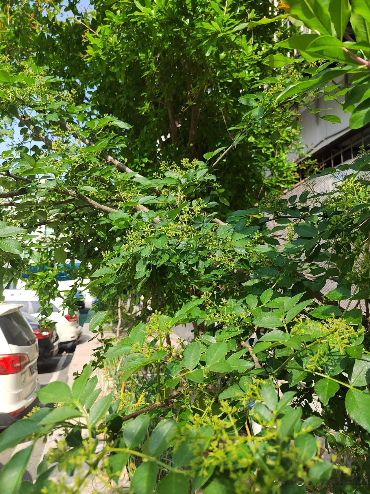 可别那么说，完全不是那回事儿！
我感觉是越晚退休，工作时间越长，那退休金才越高呢